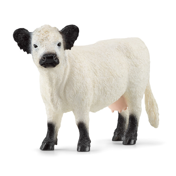 SCHLEICH 13960 Galloway Kuh