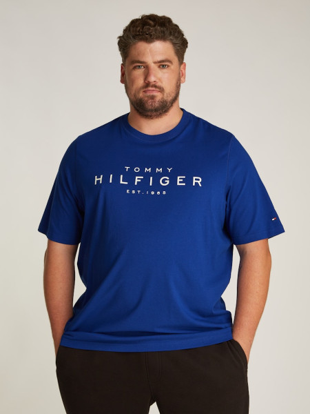 BT-BIG RWB HILFIGER TEE-B