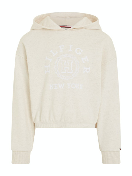 HILFIGER VARSITY HOODIE