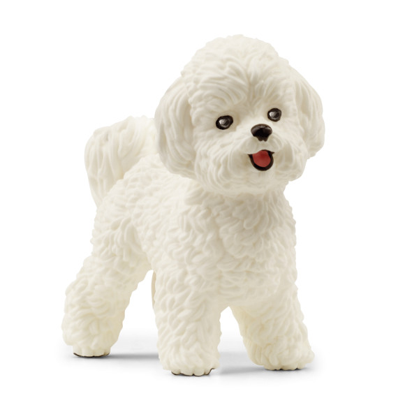 SCHLEICH 13963 Bichon Frisé